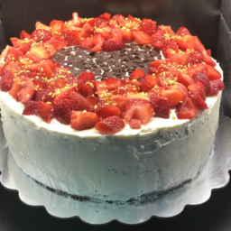 Erdbeer-Mohn-Topfen Torte